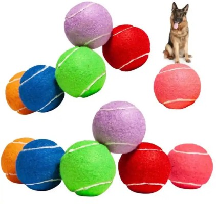 Buy Dog Toys Online From Flipkart  Best Deals on All Products 23-Mar-24