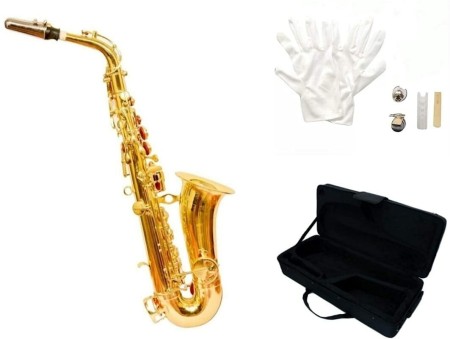 ALTO vs TENOR (saxophone) 