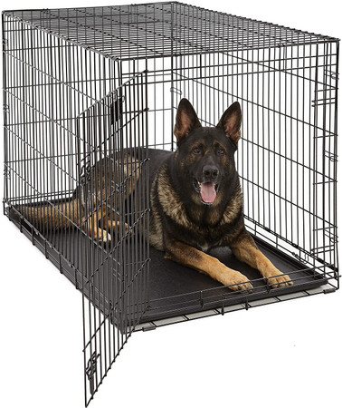 Big dog discount cage online