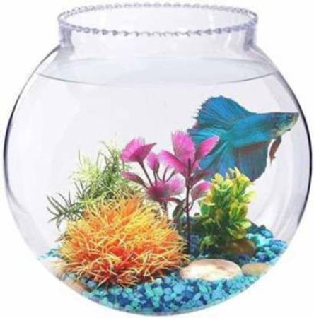 450 sq inch fish tank online