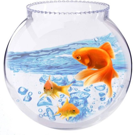 Fish Tanks (à¤«à¤¿à¤¶ à¤Ÿà¥ˆà¤‚à¤•): Aquarium Tanks Online At Best Prices On Flipkart