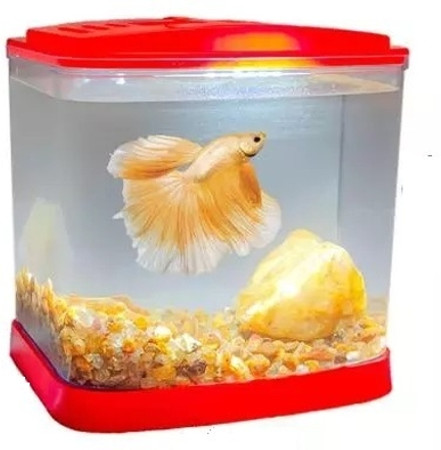 Fish tank online store flipkart
