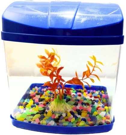 Fish Tank - Buy Fish Tank Online at Low Prices In India