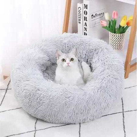 Cat online dog bed