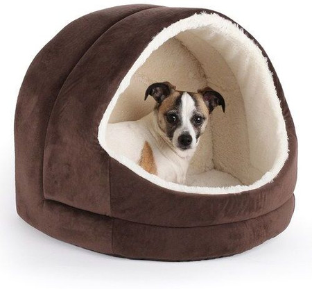 Flipkart shop dog bed