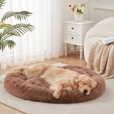 Adults Pet Beds Buy Adults Pet Beds Online at Best Prices In India Flipkart