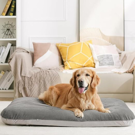 Dog bed online flipkart clearance