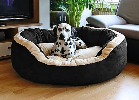 Funny dog beds outlet