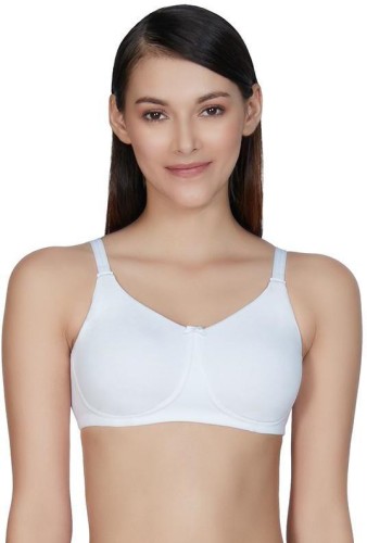 Amante 36B Blue Push Up Bra in Kozhikode - Dealers, Manufacturers