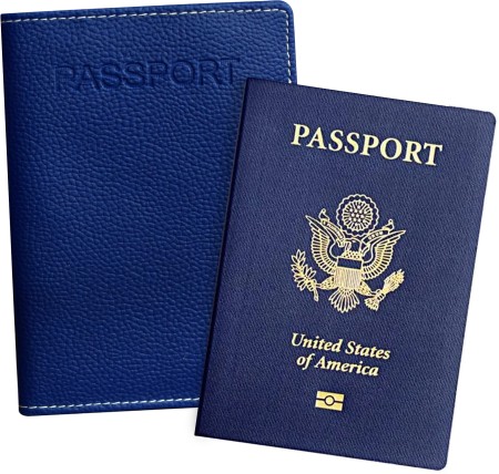 All Passport Covers has you covered with several cool themes - The