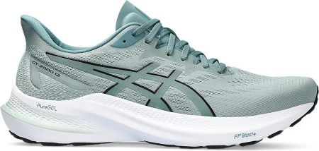 Asics mens shop gt 2000