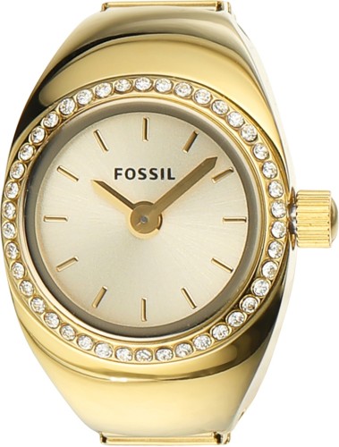 Fossil discount costliest watch