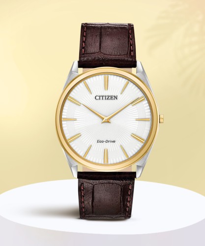 Flipkart citizen outlet watches