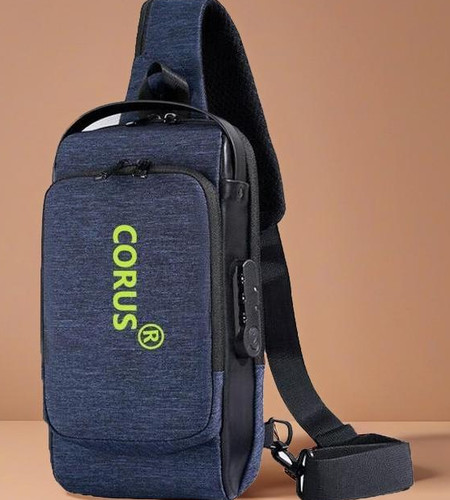 Coach sale bags flipkart