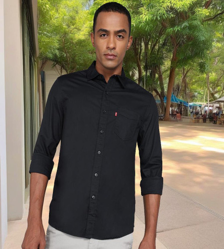 Levis shirts flipkart sale
