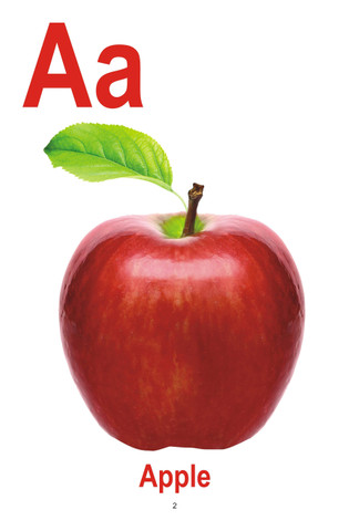 My Big Book of Alphabets: Buy My Big Book of Alphabets by unknown