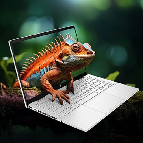 Image