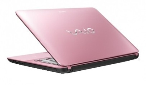 Sony VAIO Fit 14E F14216SN/P Laptop (3rd Gen Ci3/ 2GB/ 500GB