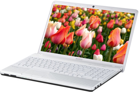 Sony VAIO VPCEH26EN/W Laptop (2nd Gen Ci3/ 4GB/ 500GB/ Win7 HB