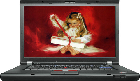 Lenovo ThinkPad T520 (4242-AL4) Laptop (2nd Gen Ci7/ 4GB/ 500GB