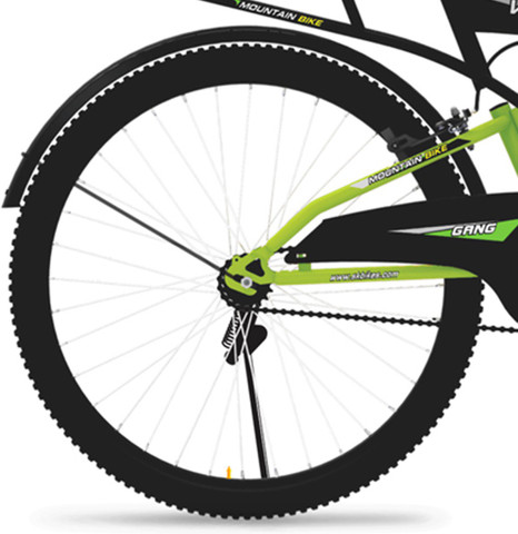 coco 18519976_39961181_1000.jpg