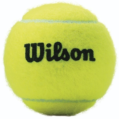WILSON Championship (Pack of 3) Tennis Ball - Buy WILSON