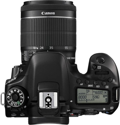 Canon EOS 80D DSLR Camera Body with Single Lens: EF-S 18-55 IS STM
