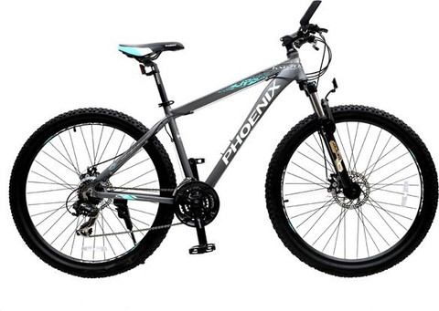 PHOENIX マウンテンバイク 26インチ PHOENIX Mtb Kx670 Grey 26 T (inch) Mountain/Hardtail Cycle Price