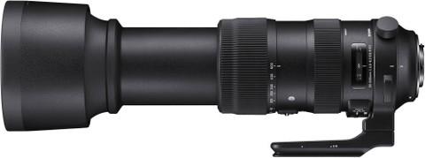 SIGMA 60-600mm f/4.5-6.3 DG OS HSM Sports for Nikon Dslr Cammeras