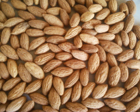 Srushtitraders Olive Tree Seeds Seed Price in India - Buy Srushtitraders Olive  Tree Seeds Seed online at Flipkart.com