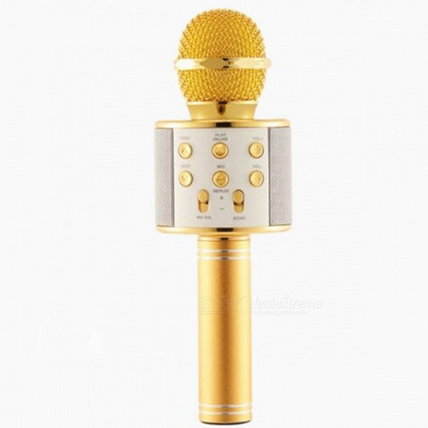 Zrose 858 Golden mic Microphone - Zrose : Flipkart.com