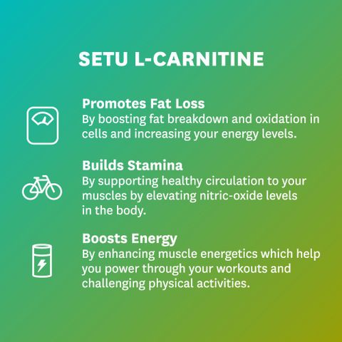 triple strength l-carnitine 1500 mg grape 16 oz liquid NutraBio - L-Carnitine 3000 - Green Apple - 16 fl oz (31 Servings)
