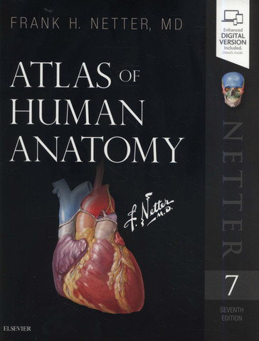 Atlas of Human Anatomy: Buy Atlas of Human Anatomy by Netter