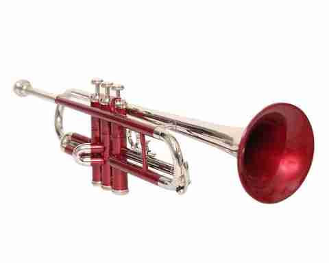 訳あり Henri Selmer Paris ピッコロトランペット❓刻印有り 訳 【美品
