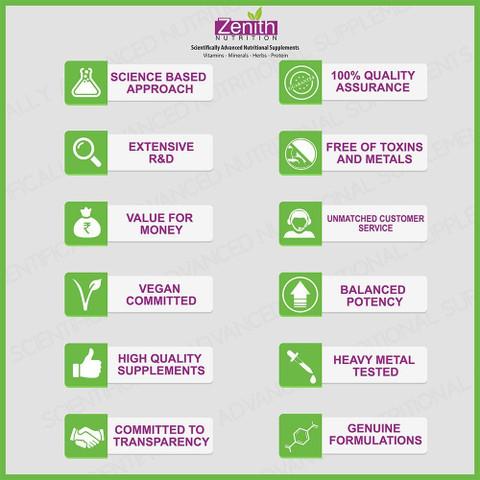 Zenith Nutrition Garlic With Lecithin Price in India
