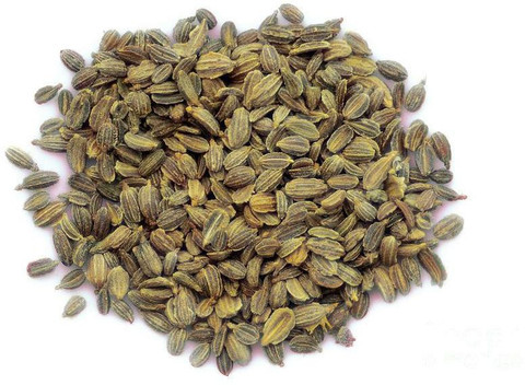 Nature Green CARROT SEEDS Seed Price in India - Buy Nature Green CARROT  SEEDS Seed online at Flipkart.com