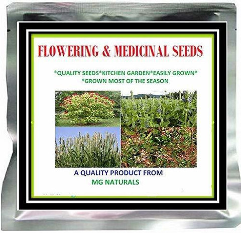 MGBN GURMAR/SUGAR DESTROYER/GYMNEMA SYLVESTRE/SIRUKURINZAN SEEDS - 3 GM  SEEDS (23 seeds) Seed Price in India - Buy MGBN GURMAR/SUGAR DESTROYER/ GYMNEMA SYLVESTRE/SIRUKURINZAN SEEDS - 3 GM SEEDS (23 seeds) Seed online at  Flipkart.com