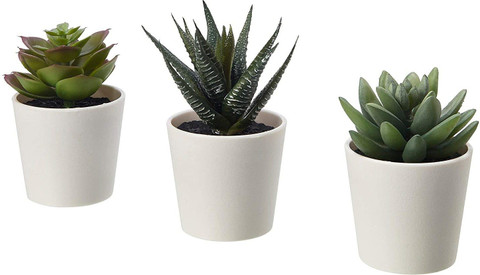 IKEA Money Plant Price in India - Buy IKEA Money Plant online at  Flipkart.com