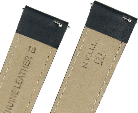 Titan NF111088018SQ/P 18 mm Genuine Leather Watch Strap Price in