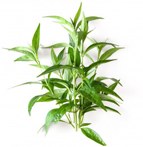 fake plants for home decor 3 Pack Mini Potted Fake Plants Artificial Plastic Eucalyptus Plants