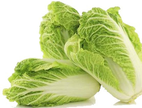 げんまい xcentax BHINDI ANAMIKA, Wong Bok Chinese Cabbage Seed Price in