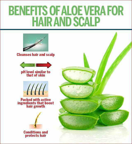BALAJI HERBS Aloe vera Powder (Aloe Barbaensis)100% Natural For Hair Care &  Skin care (1kg) - Price in India, Buy BALAJI HERBS Aloe vera Powder (Aloe  Barbaensis)100% Natural For Hair Care &