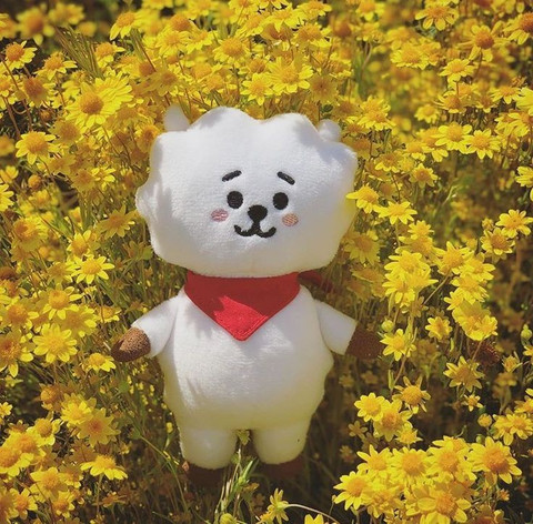 BT21 RJ PLUSH DOLL 公式 BT21 RJ 初期バージョン スタンディング