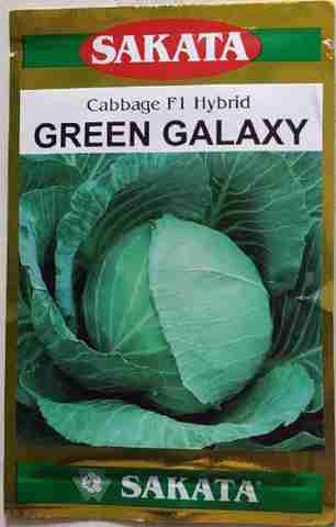 sakata Cabbage, Green Galaxy 20gm Seed Price in India - Buy sakata