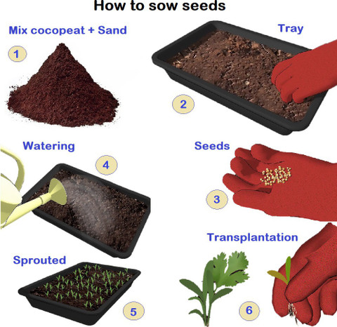 Grow Basket 40 Vegetable seeds for kitchen gardening all in one