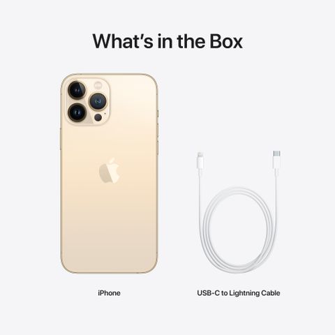 Apple iPhone 13 Pro Max (256 GB Storage) Online at Best Price On