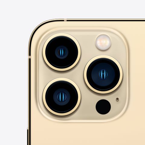 Apple iPhone 13 Pro Max (256 GB Storage) Online at Best Price On