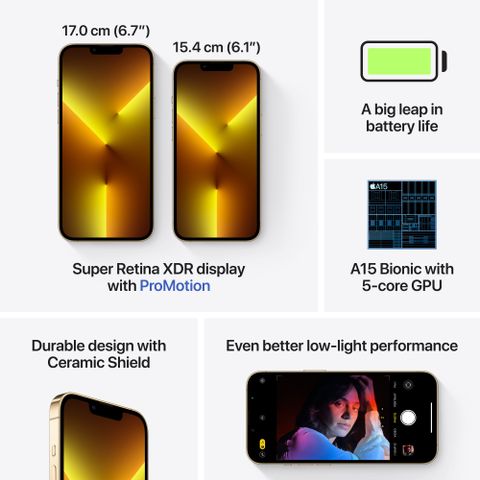 Apple iPhone 13 Pro Max (256 GB Storage) Online at Best Price On