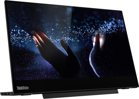 Lenovo 35.56 cm (14 inch) Full HD IPS Panel Monitor (THINKVISION