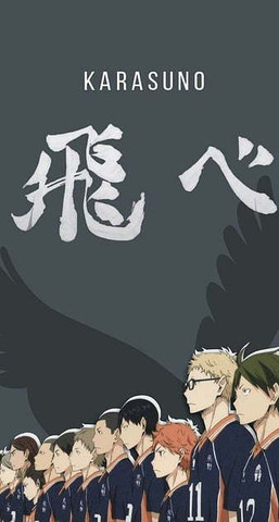 karasuno team wallpaper